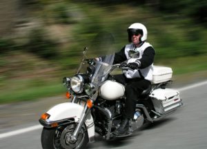 Motorcycle riding on Harley - Chattahoochee National Forest