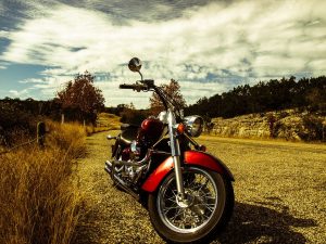 Make Extra Cash For The Holidays In Georgia 